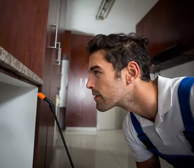 Expert Rodent in Attic Removal: Your Proven Pest Specialists in Roseburg, OR