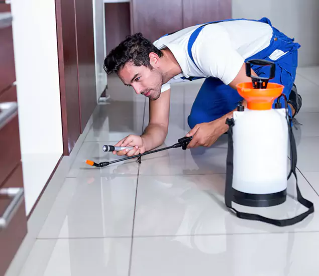Advanced Slab Termite Treatment Experts You Can Trust&nbsp;in Roseburg, OR