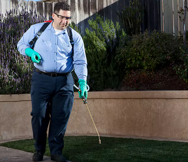 Reliable Termite Barrier Treatment Experts in Roseburg, OR