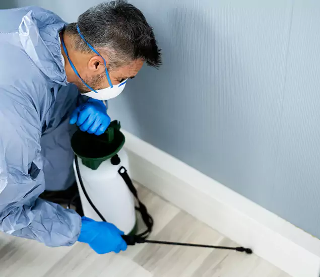 Reliable Termite Cost Experts in Roseburg, OR
