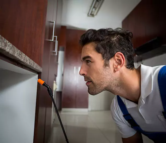 Termite Inspection Cost Experts You Can Trust in Roseburg, OR