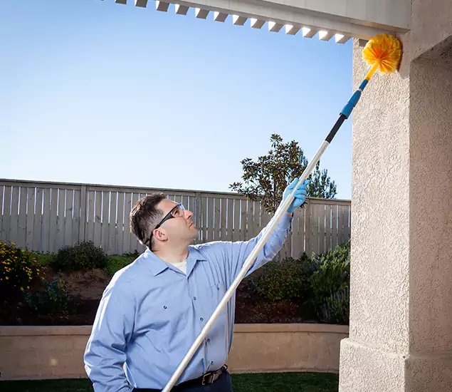 Your Trusted Wasp Removal Company in Roseburg, OR