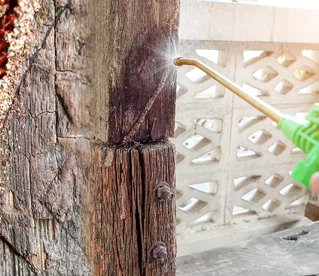 About Wood Termite Treatment Services in Roseburg, OR