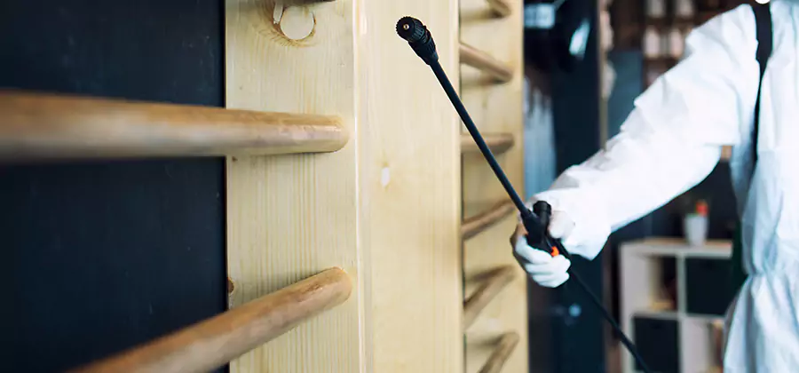Attic Wood Termite Treatment in Roseburg