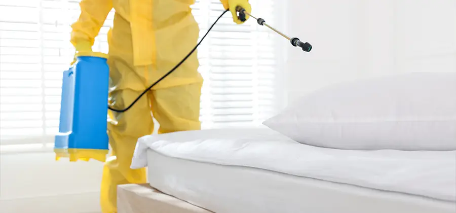 Targeted Chemical Application in Roseburg