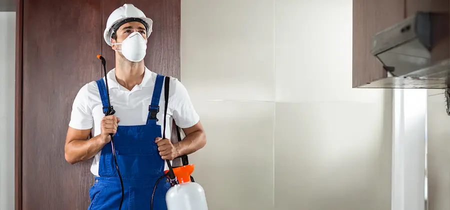 Per Room Bed Bug Cost in Roseburg