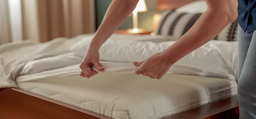 Bed Bug Extermination Services in Roseburg