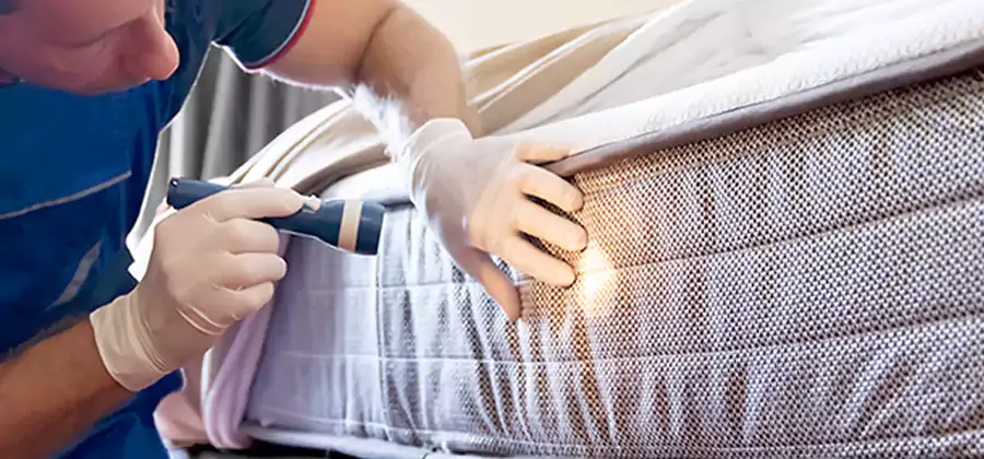 Residential Bed Bug Treatment Cost in Roseburg