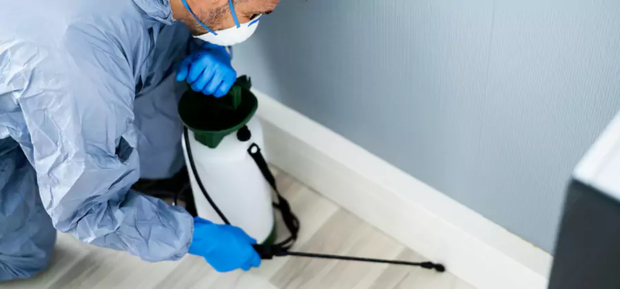 Fumigate Apartment Roaches in Roseburg