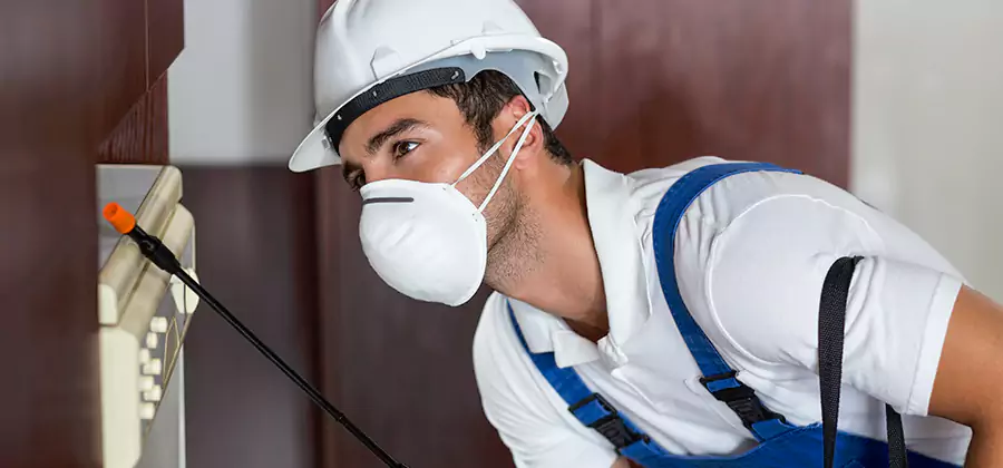 Injection Foam Treatment for Drywood Termites in Roseburg