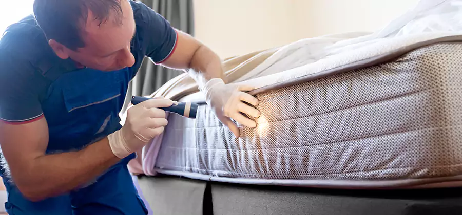 24 Hour Bed Bug Pest Control in Roseburg