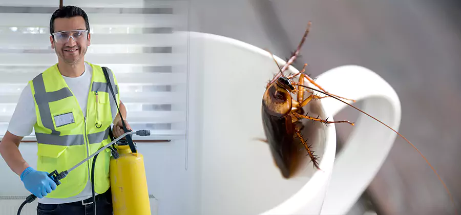 German Roach Infestation Treatment Roseburg