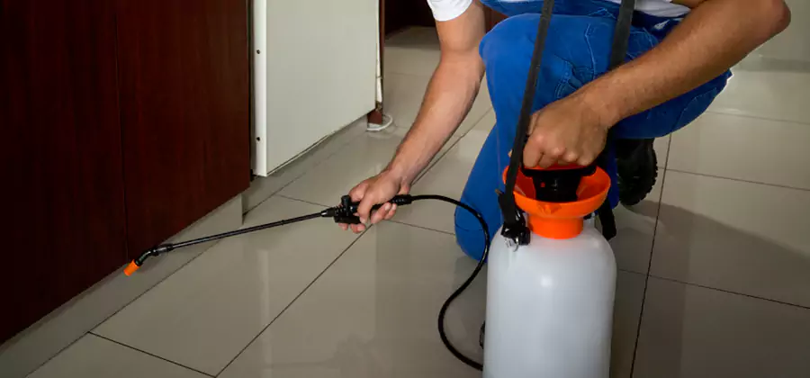 Indoor Mosquito Treatment in Roseburg