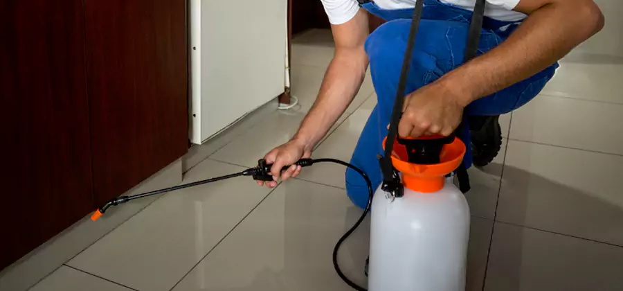 Indoor Insect Killer Solutions in Roseburg