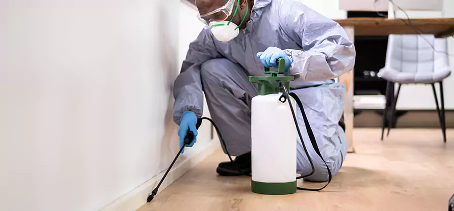 Long Lasting Mosquito Treatment in Roseburg