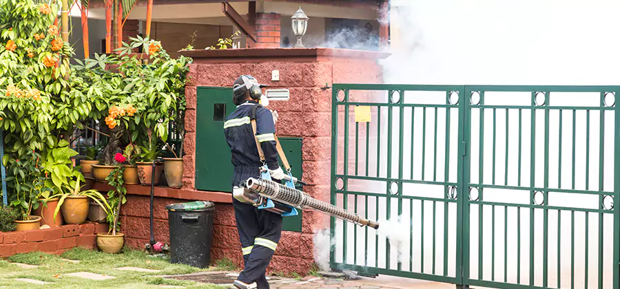 Backyard Mosquito Foggers Service in Roseburg