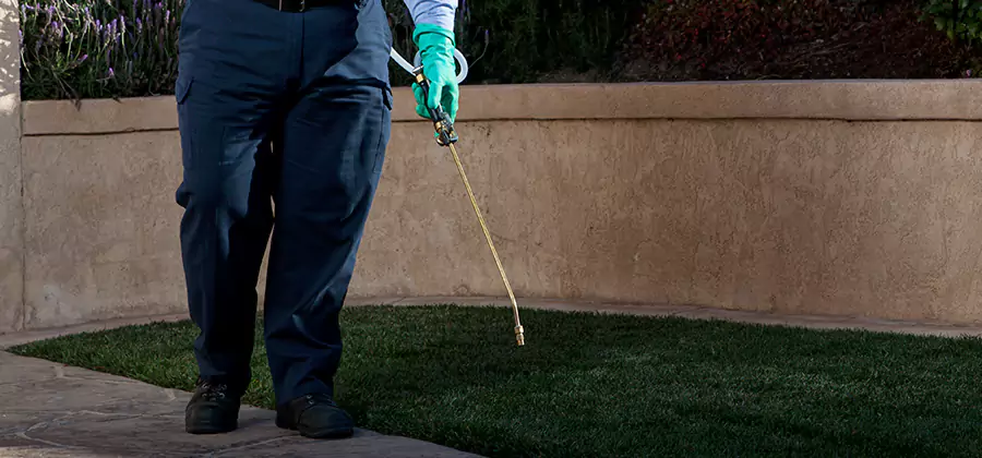 Soil Treatment for New Construction Termites in Roseburg
