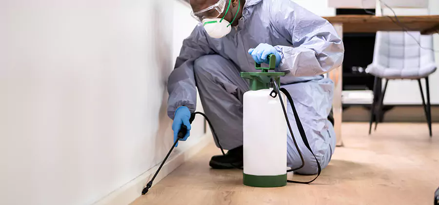 No Tent Termite Extermination With Electric Tool in Roseburg