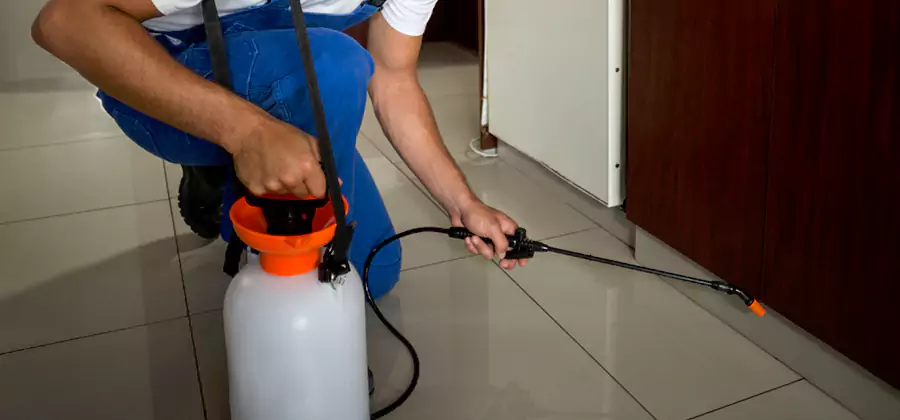 One Time Termite Control in Roseburg