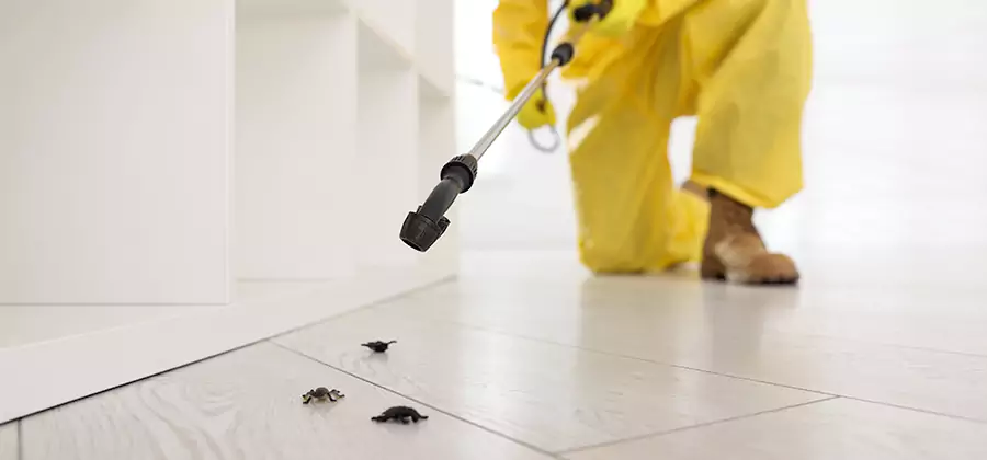Roach and Bed Bug Exterminator in Roseburg
