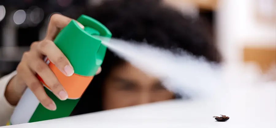 Child Safe Bed Bug Treatment in Roseburg