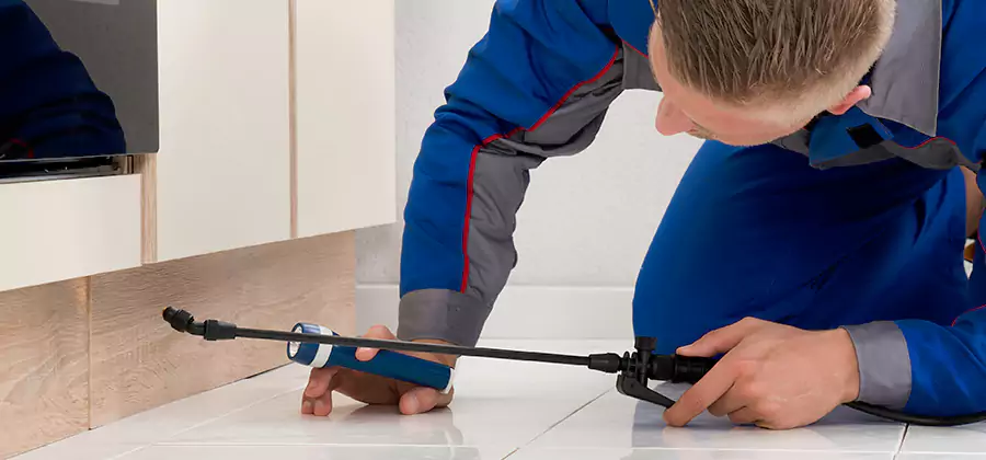 Moisture Treatment For Termite Control Service in Roseburg