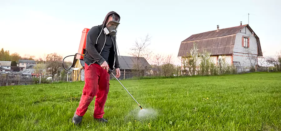 Flea and Tick Pest Control in Roseburg