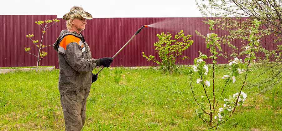 Flea and Tick Spray for Yard in Roseburg