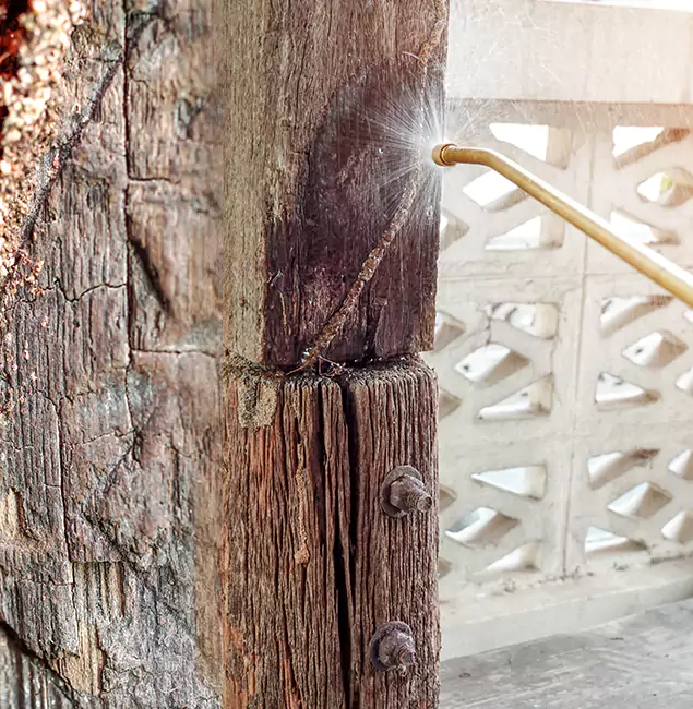 Why Choose Roseburg Pest Control Pro for Attic Termite Treatment in Roseburg, OR?