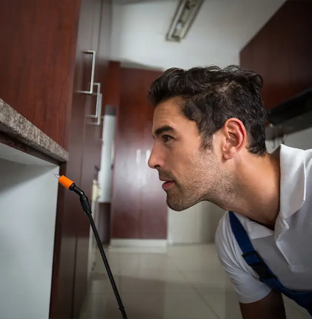 Why Choose Roseburg Pest Control Pro for Bed Bug Removal Cost in Roseburg, OR?