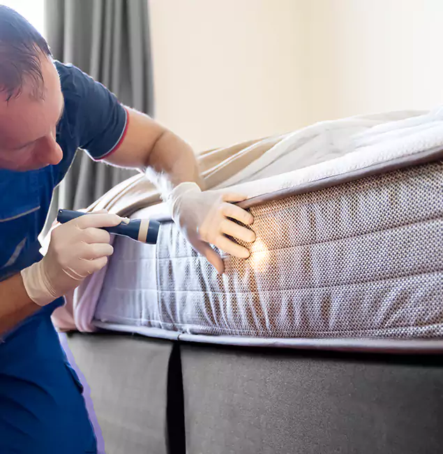 Why Choose Roseburg Pest Control Pro for Bed Bug Services in Roseburg, OR?