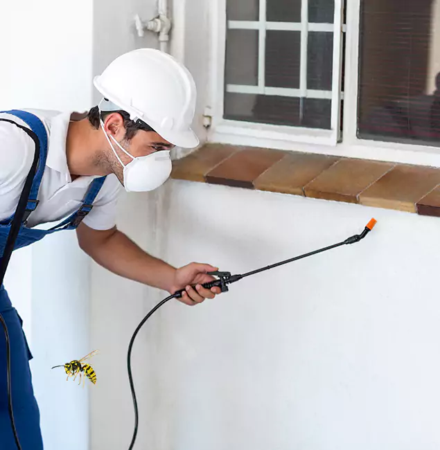 Why Roseburg Property Owners Choose Roseburg Pest Control Pro for Bee Nest Removal?
