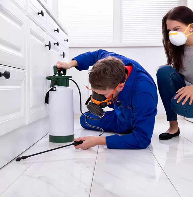 Why Choose Roseburg Pest Control Pro in Roseburg, OR?
