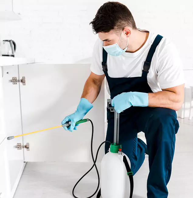 Why Choose Roseburg Pest Control Pro for Emergency Pest Control in Roseburg?