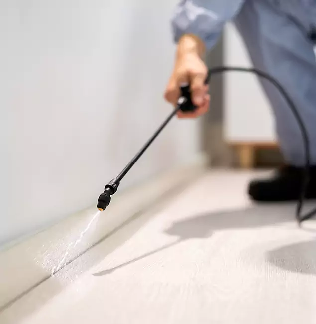 Why Choose Roseburg Pest Control Pro for Termite Treatment in Roseburg, OR?