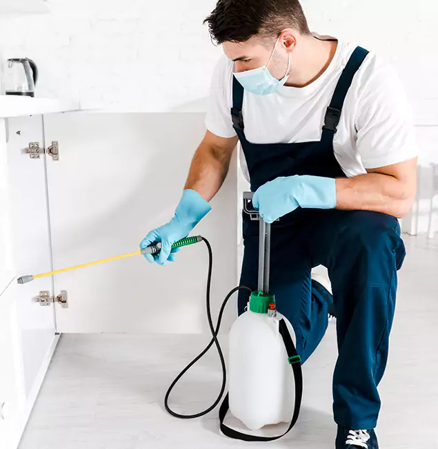 Why Roseburg, OR Homeowners Trust Us for German Roach Control?