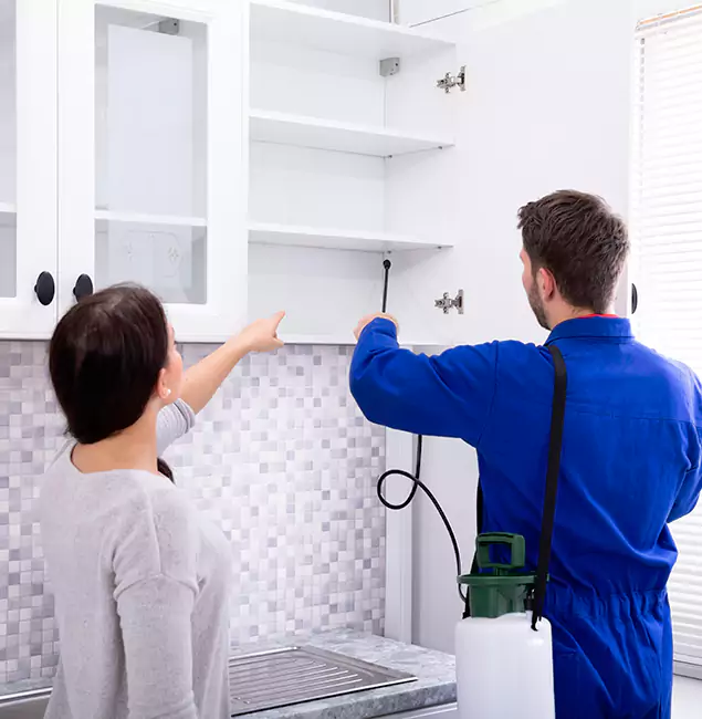 Why Roseburg Property Owners Choose Roseburg Pest Control Pro for Ground Bee Removal?