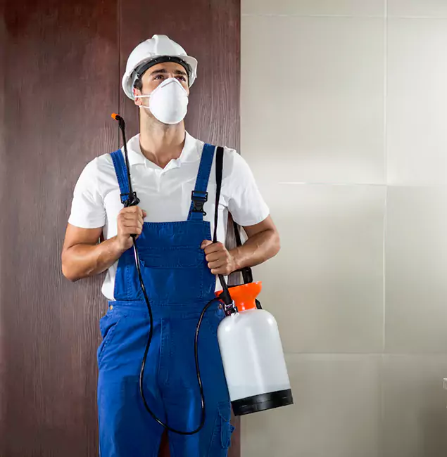 Why Choose Us for Heat Treatment for Termites in Roseburg, OR?