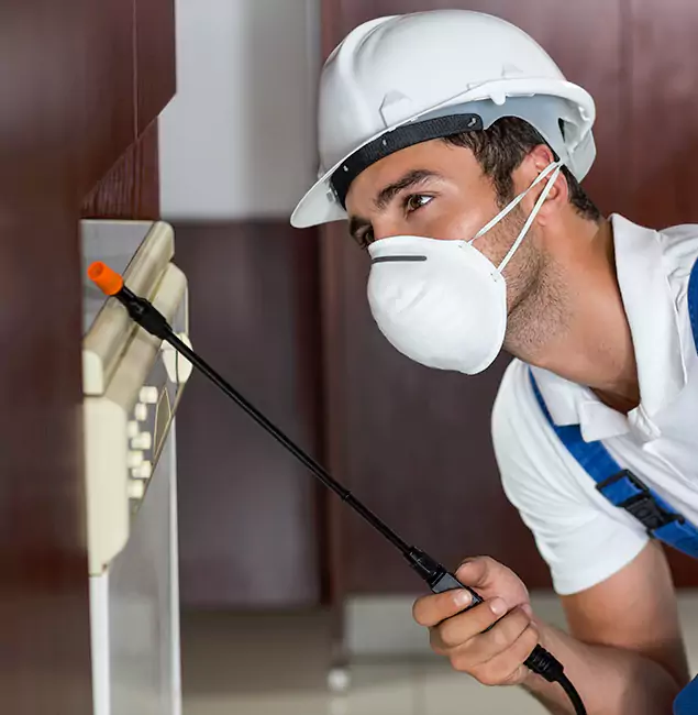 Why Roseburg Homeowners Rely on Roseburg Pest Control Pro for Tick Treatment?
