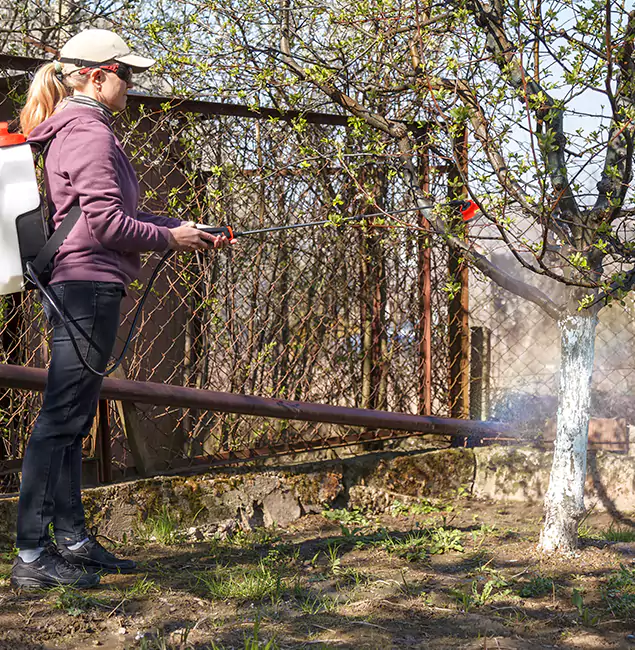 Why Roseburg Homeowners Choose Roseburg Pest Control Pro for Mosquito Abatement?