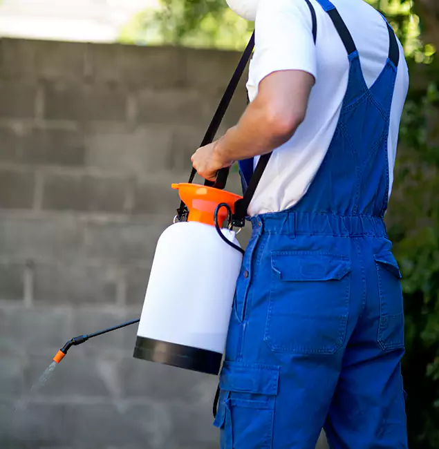 Why Roseburg Homeowners Rely on Roseburg Pest Control Pro for Mosquito Control?