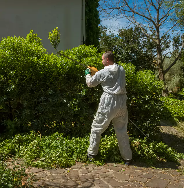 Why Roseburg Pest Control Pro Leads Mosquito Control in Roseburg, OR?