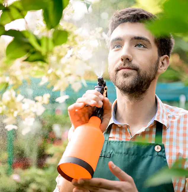 Why Roseburg Pest Control Pro Is the Best Mosquito Control Company in Roseburg, OR?