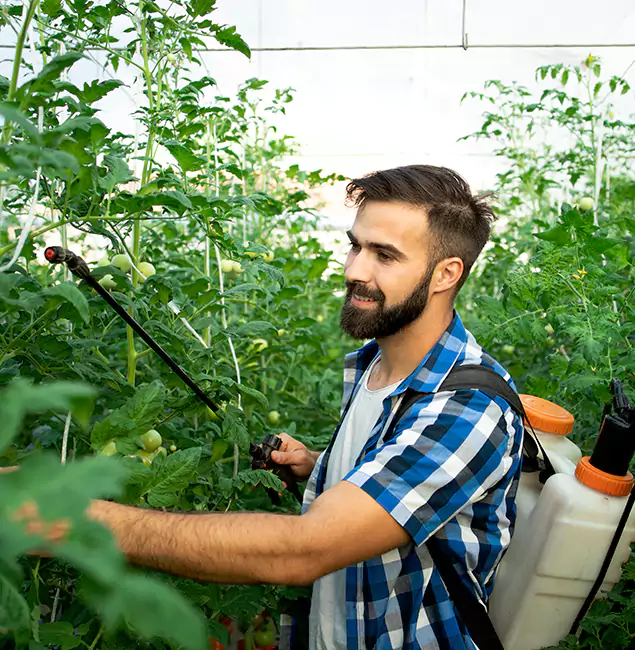 Why Roseburg Homeowners Choose Roseburg Pest Control Pro for Mosquito Spraying?