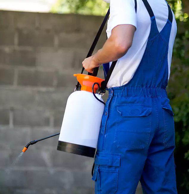 Why Roseburg Pest Control Pro Delivers the Best Mosquito Control in Roseburg, OR?