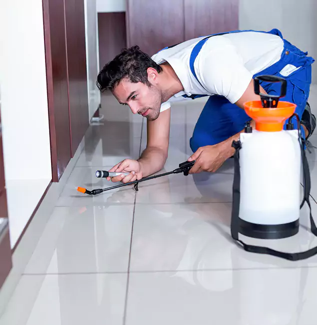 Why Roseburg Pest Control Pro Is the Proven Choice in Roseburg, OR?