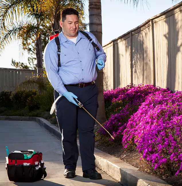 Why Choose Roseburg Pest Control Pro in Roseburg, OR?