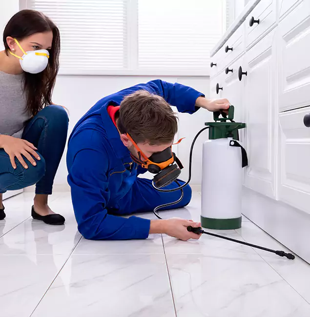 Why Choose Roseburg Pest Control Pro in Roseburg, OR?