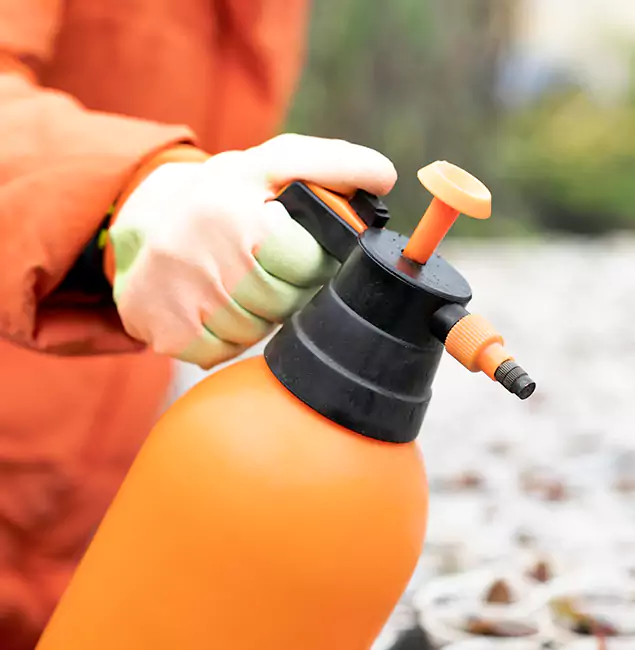 Why Choose Roseburg Pest Control Pro for Orange Termite Treatment in Roseburg, OR?