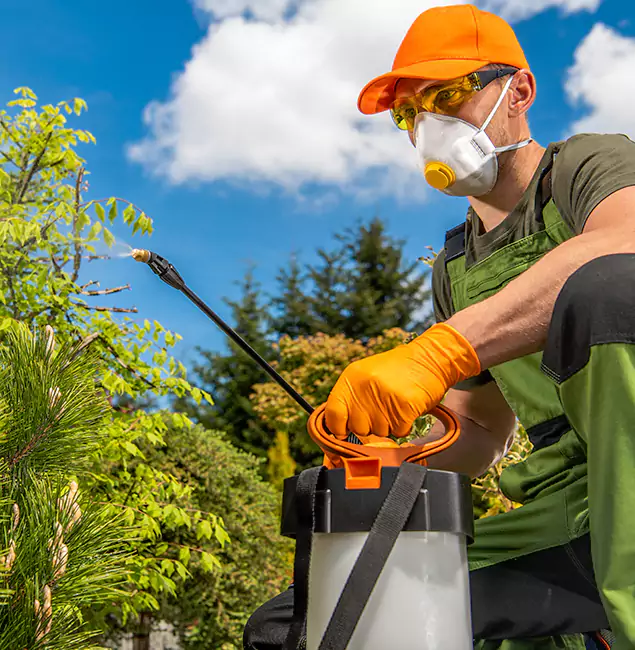 Why Choose Roseburg Pest Control Pro for Outdoor Pest Control in Roseburg, OR?